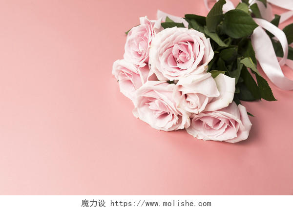 粉色情人节玫瑰花背景图片